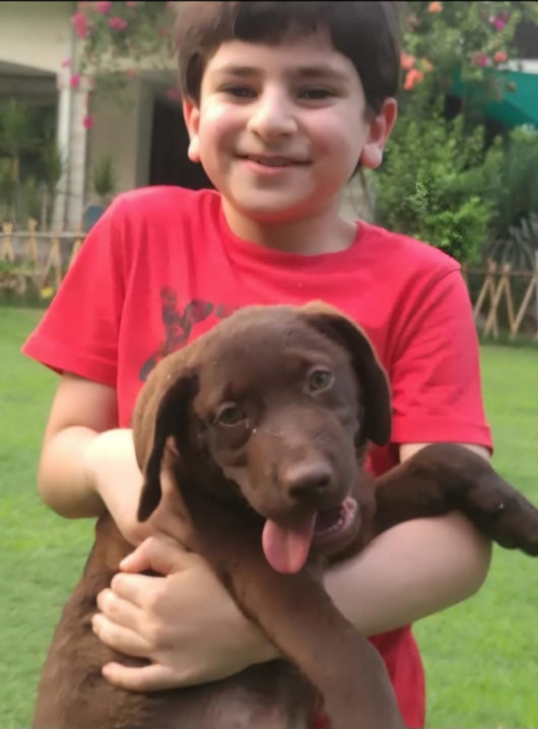 Dog 3