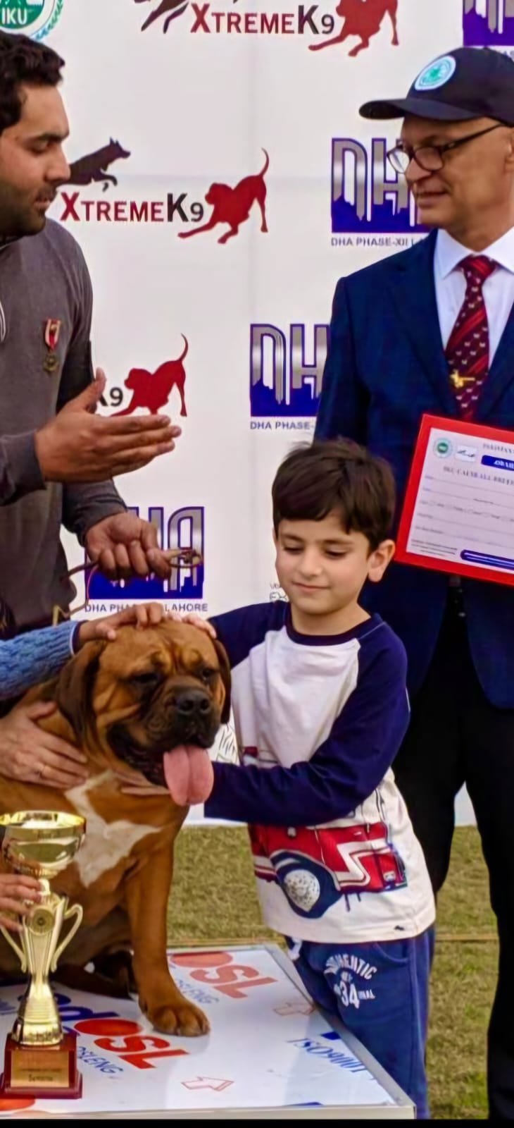 Dog 10